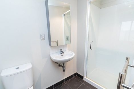 Photo of property in Soho Apartments, 519/74 Taranaki Street, Te Aro, Wellington, 6011