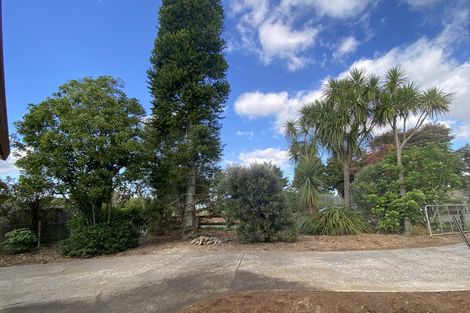 Photo of property in 664a Onewhero-tuakau Bridge Road, Onewhero, Tuakau, 2697