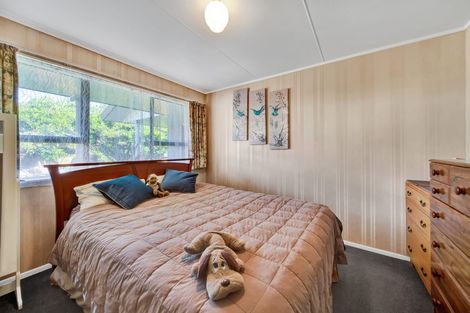 Photo of property in 44 Murray Avenue, Hawera, 4610