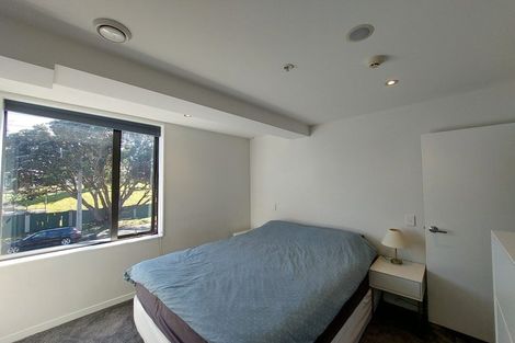 Photo of property in Nouvo Apartments, 2b/21 Rugby Street, Mount Cook, Wellington, 6021