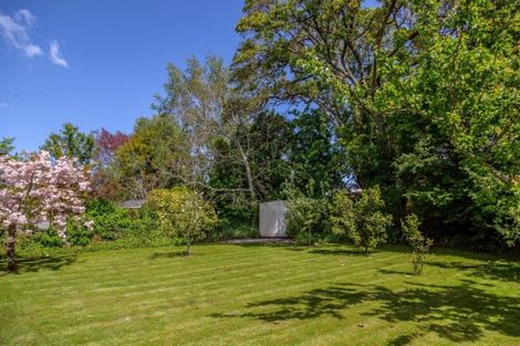 Photo of property in 8 Horton Street, Greytown, 5712