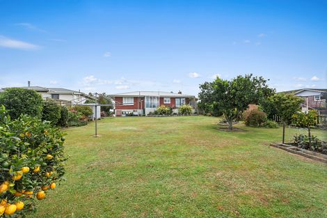 Photo of property in 43 Frontier Road, Te Awamutu, 3876