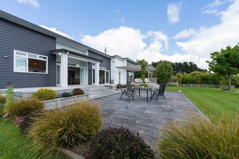 Photo of property in 15 Sika Avenue, Feilding, 4775