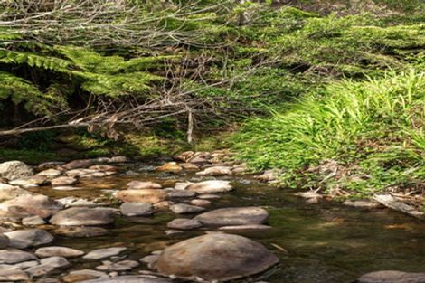 Photo of property in 200 Corbett Road, Waihi, 3681