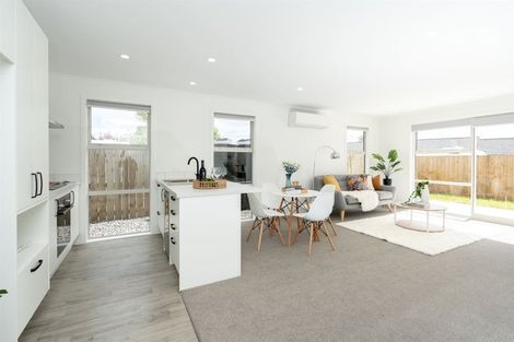Photo of property in 45u4 Tranmere Road, Fairfield, Hamilton, 3214
