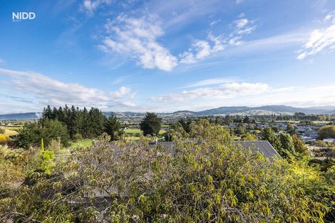 Photo of property in 186 Gladstone Road, Dalmore, Dunedin, 9010