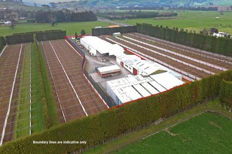 Photo of property in 11 Trig Road, Waihi, 3681