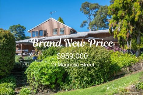 Photo of property in 19 Magnolia Street, Outer Kaiti, Gisborne, 4010