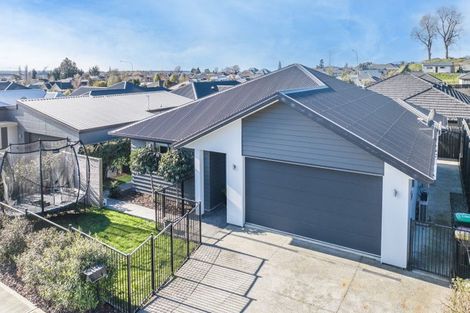 Photo of property in 5 Julius Place, Richmond, 7020