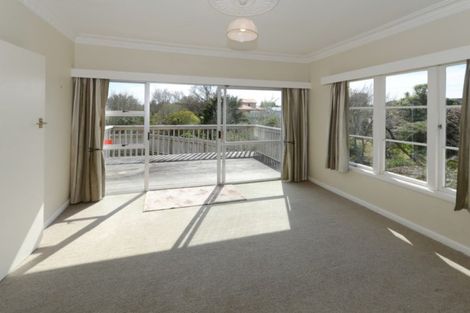 Photo of property in 141 Clarkin Road, Fairfield, Hamilton, 3214