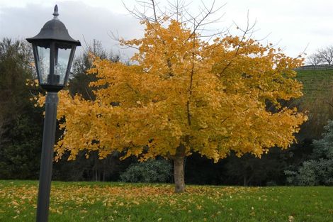 Photo of property in 27 Francis Place, Warkworth, 0984