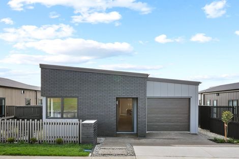 Photo of property in 11 Anurangi Rise, Peacocke, 3206