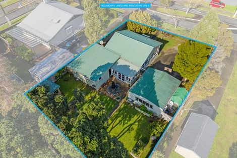 Photo of property in 19 Rimu Street, New Lynn, Auckland, 0600