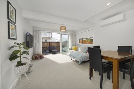 Photo of property in 17b West Avenue, Saint Clair, Dunedin, 9012