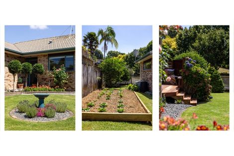 Photo of property in 1 Hadleigh Place, Bethlehem, Tauranga, 3110