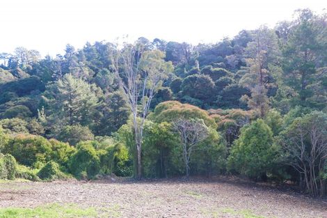 Photo of property in 104a Irishtown Road, Thames, 3500