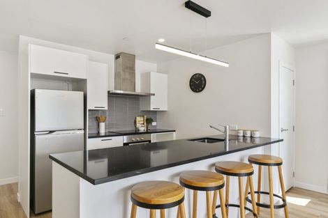 Photo of property in 239u8 Adelaide Road, Newtown, Wellington, 6021