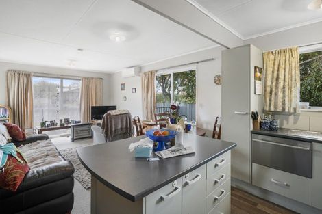 Photo of property in 46 Durham Street, Levin, 5510