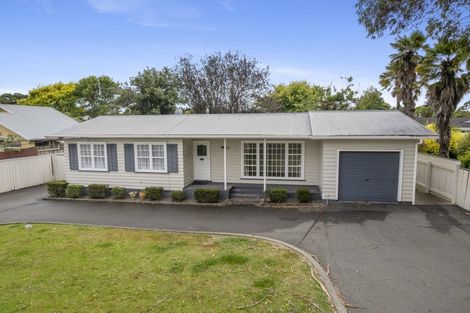 Photo of property in 39 Macarthur Street, Levin, 5510