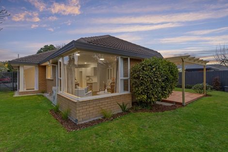 Photo of property in 95a Rose Street, Somerfield, Christchurch, 8024