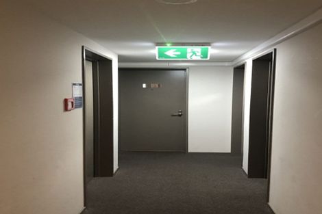 Photo of property in Dual Apartments, 301/142u Vivian Street, Te Aro, Wellington, 6011