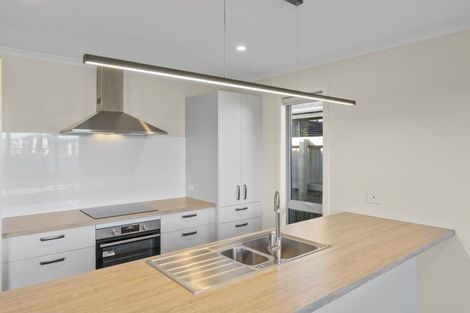 Photo of property in 43 Camberley Road, Richmond, 7020