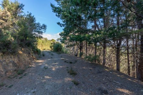 Photo of property in 93 Ranui Road, Karetu, 0283