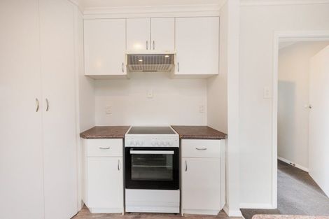 Photo of property in 345 Tremaine Avenue, Takaro, Palmerston North, 4412