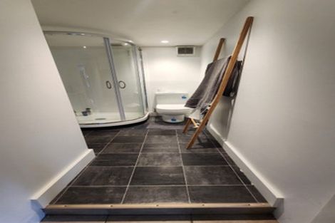 Photo of property in 164a Hanson Street, Newtown, Wellington, 6021