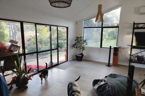 Photo of property in 24 Riley Place, Fitzroy, Hamilton, 3206