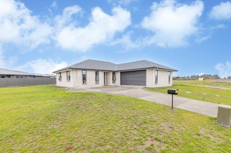 Photo of property in 92 Belgrove Drive, Waipukurau, 4200