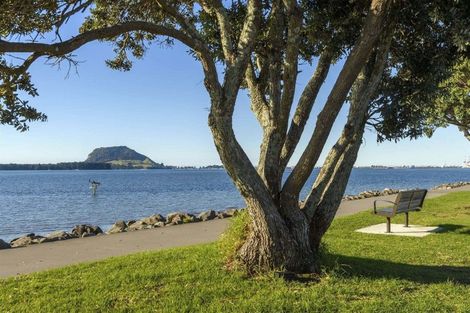 Photo of property in 22 Hall Road, Matua, Tauranga, 3110