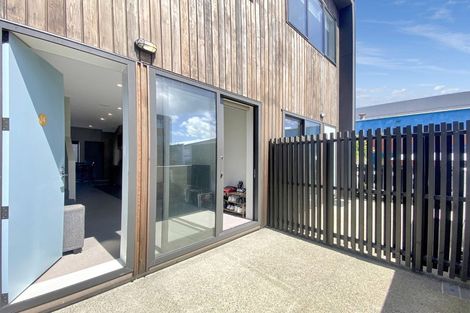 Photo of property in Aniva Terrace, 14 Arney Street, Newtown, Wellington, 6021