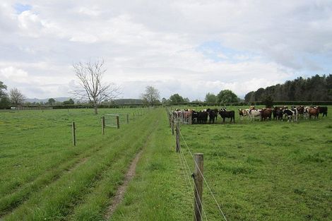 Photo of property in 411 Marychurch Road, Matangi, Hamilton, 3284