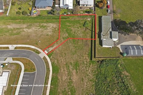Photo of property in 39 Hoki Avenue, Morrinsville, 3300
