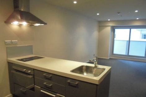 Photo of property in Soho Apartments, 205/74 Taranaki Street, Te Aro, Wellington, 6011