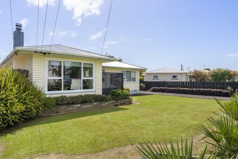 Photo of property in 19 Freyberg Street, Levin, 5510