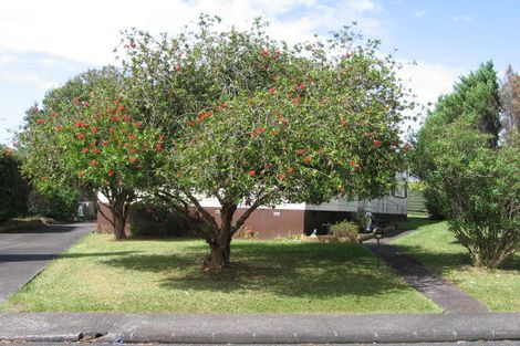 Photo of property in 55 Thornlow Street, Glendene, Auckland, 0602