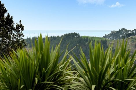 Photo of property in 217 Rocky Cutting Road, Waitao, Tauranga, 3175