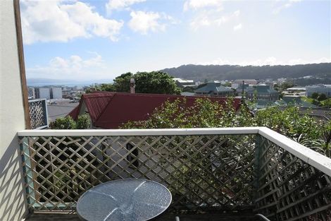 Photo of property in 53a Hankey Street, Mount Cook, Wellington, 6011