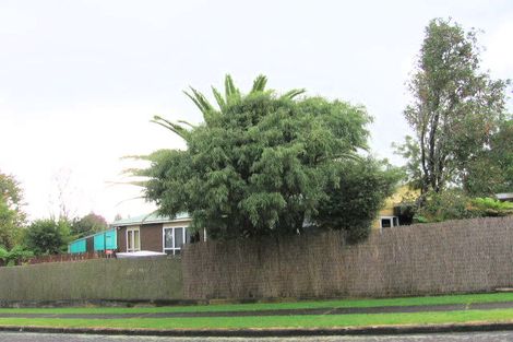 Photo of property in 9 Esk Crescent, Tokoroa, 3420