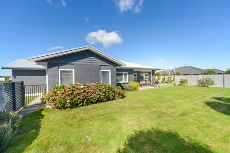 Photo of property in 13 Cherry Place, Feilding, 4702