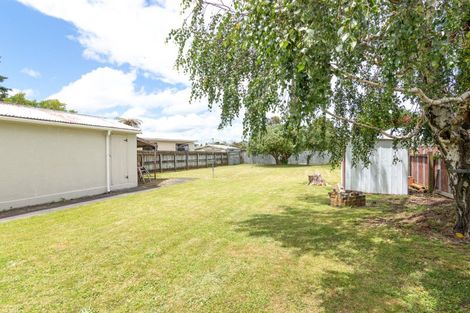 Photo of property in 420 Tremaine Avenue, Takaro, Palmerston North, 4412