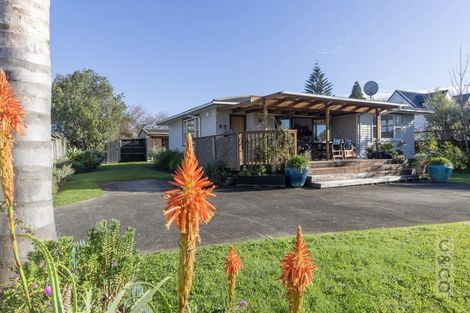 Photo of property in 33 Maude Street, Riverhead, 0820