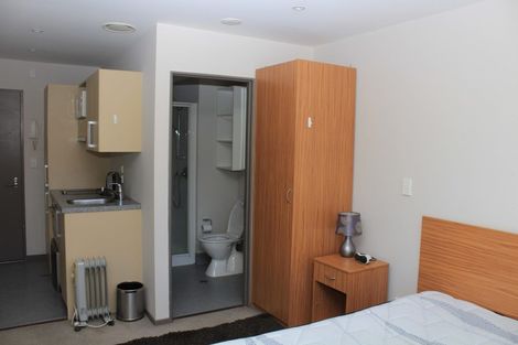 Photo of property in Dual Apartments, 108/142u Vivian Street, Te Aro, Wellington, 6011