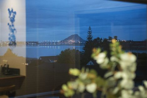 Photo of property in 343 Maungatapu Road, Maungatapu, Tauranga, 3112