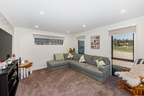 Photo of property in 1 Sudeng Street, Levin, 5510