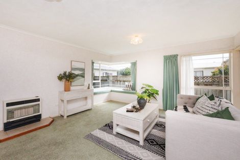 Photo of property in 4 Fauchelle Court, Feilding, 4702