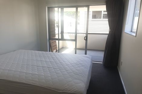 Photo of property in 11a Hanson Street, Mount Cook, Wellington, 6021