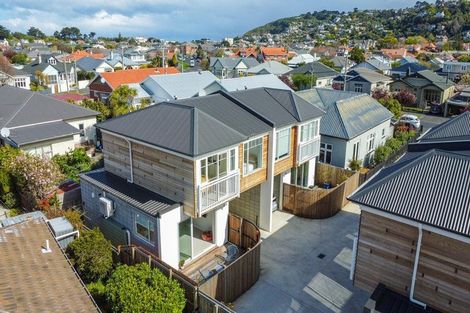 Photo of property in 17b West Avenue, Saint Clair, Dunedin, 9012